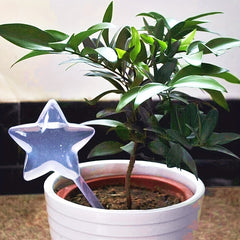Automatic Self Watering Plant Pot for Houseplants