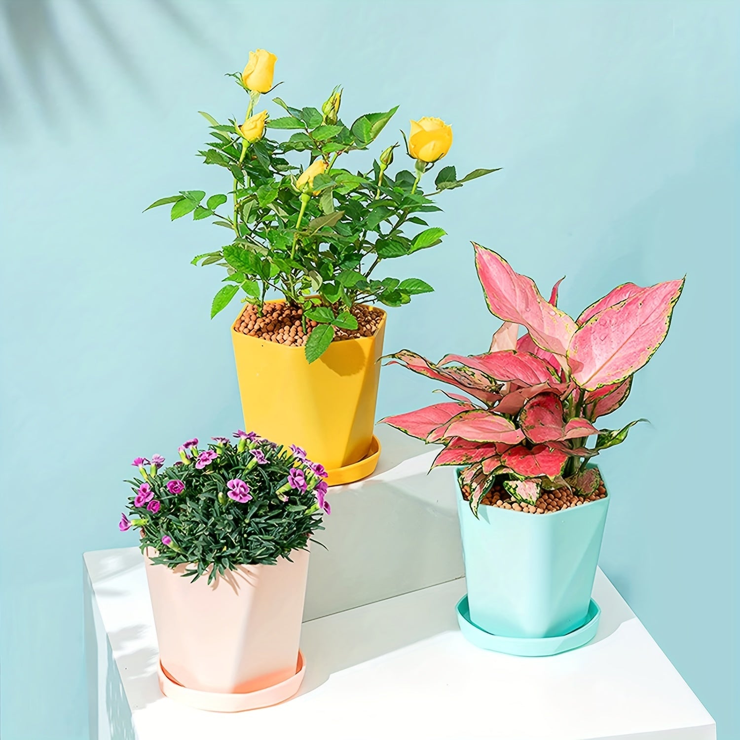 6pcs Thickened Plastic Flowerpot Set with Drainage Holes & Bases