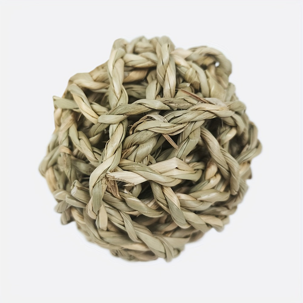 Safe Chew Toys for Small Animals - Hamsters, Guinea Pigs, Chinchillas