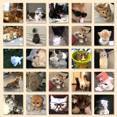 63pcs Cat Stickers High-Quality Adhesive Decals for Laptop Phone Car Planner