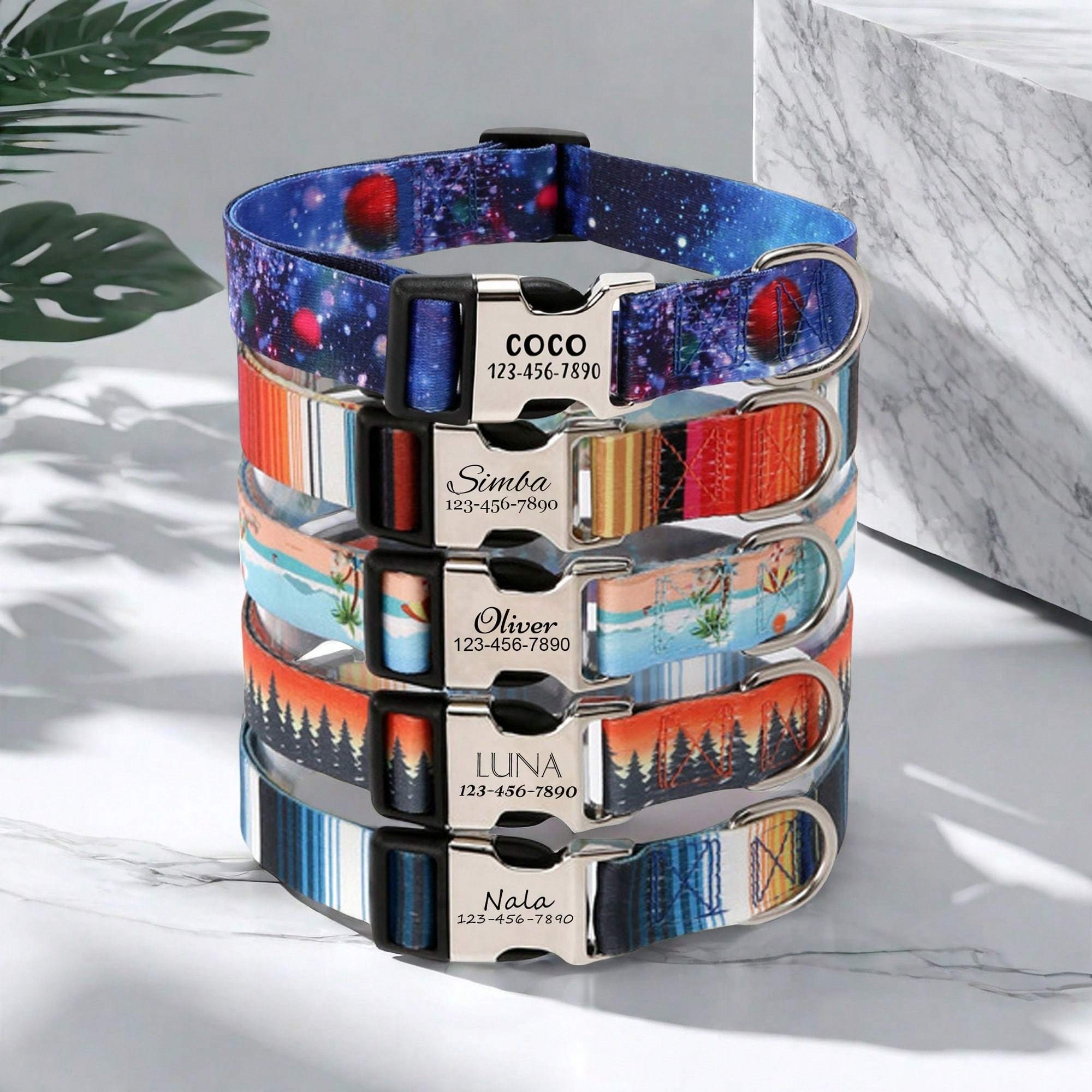 img_5486881