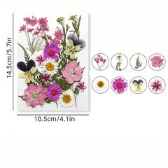 DIY Pressed Flowers Kit - Create Unique Crafts with 19pcs Dried Flowers