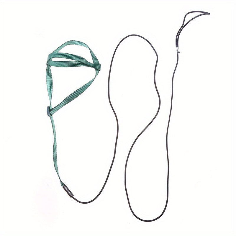 Adjustable Bird Harness & Leash for Parrot Comfort & Security