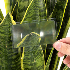5-Pack Credit Card Magnifiers 3X Portable Pocket Magnifying Glass