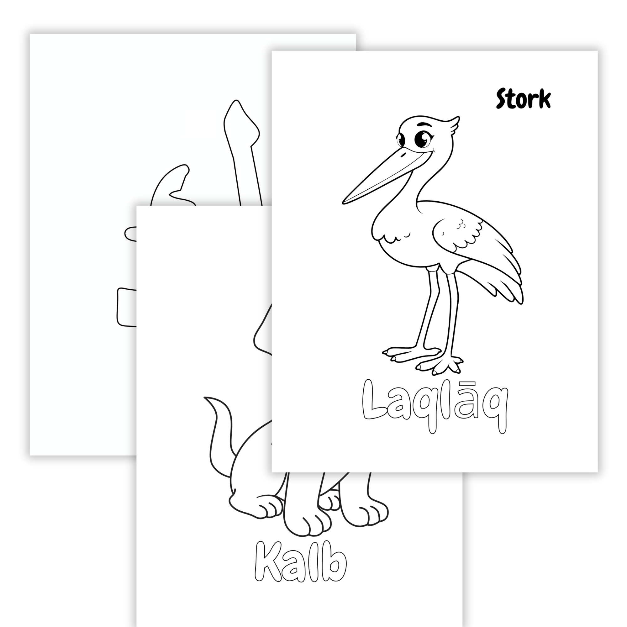 Arabic Alphabet Colouring Sheets for Kids - Islamic Vocabulary Pages