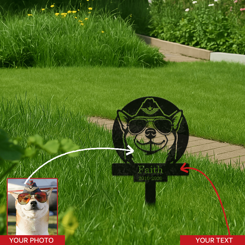 img_6603948
