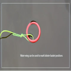 Collapsible Fishing Net - Catch More Fish & Crustaceans
