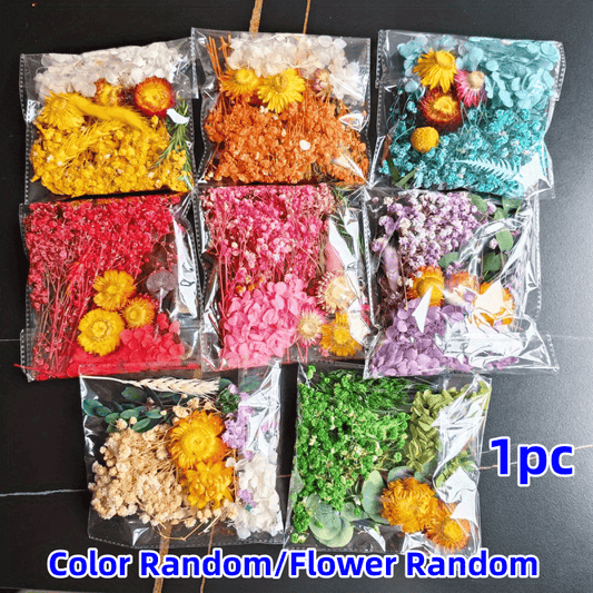20-25g Dry Flower Eternal Flower Material Pack DIY Picture Frame Sticker & Fan