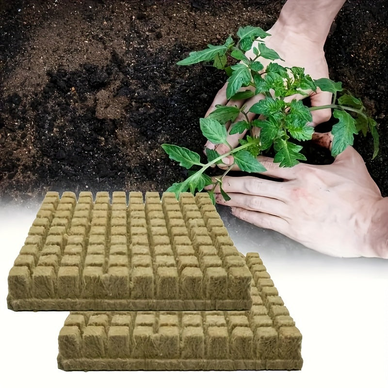 50pcs Grow Cubes Hydroponics Plant Propagation Nutrient Blocks 25x25x25mm