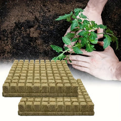 50pcs Grow Cubes Hydroponics Plant Propagation Nutrient Blocks 25x25x25mm