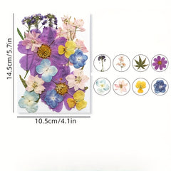DIY Pressed Flowers Kit - Create Unique Crafts with 19pcs Dried Flowers