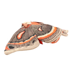img_5348748