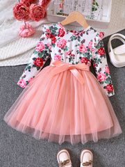 Toddler Girls Flowers Graphic Mesh Princess Dress with Belt