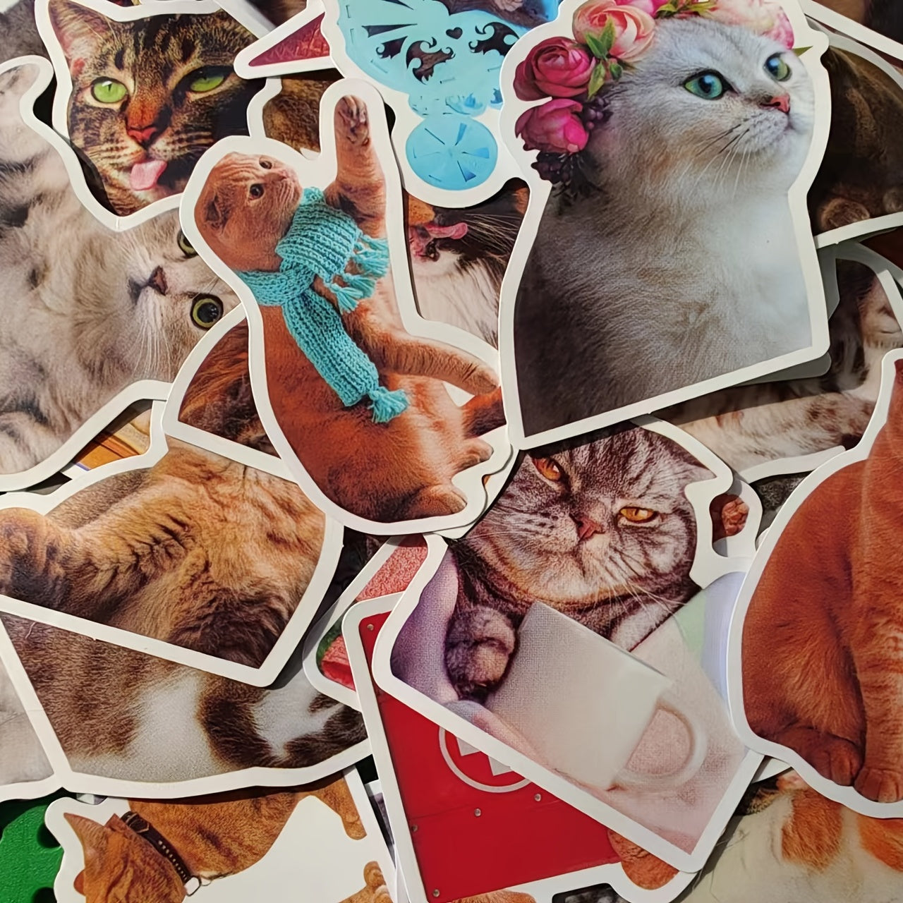 50Pcs Cat Waterproof Vinyl Stickers KidsTeens Girls