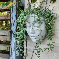 Resin Wall Mounted Face Planter Pot for Indoor & Outdoor Plants Decor