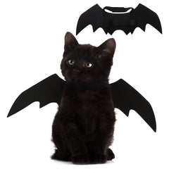 Adorable Bat Wings for Your Pet this Halloween