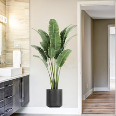 Tropical Green Plant Wall Decals - Removable Bonsai Decals