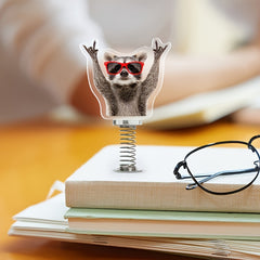 Acrylic Desk Fidget Rockin' Raccoon - Relaxing Office Fun