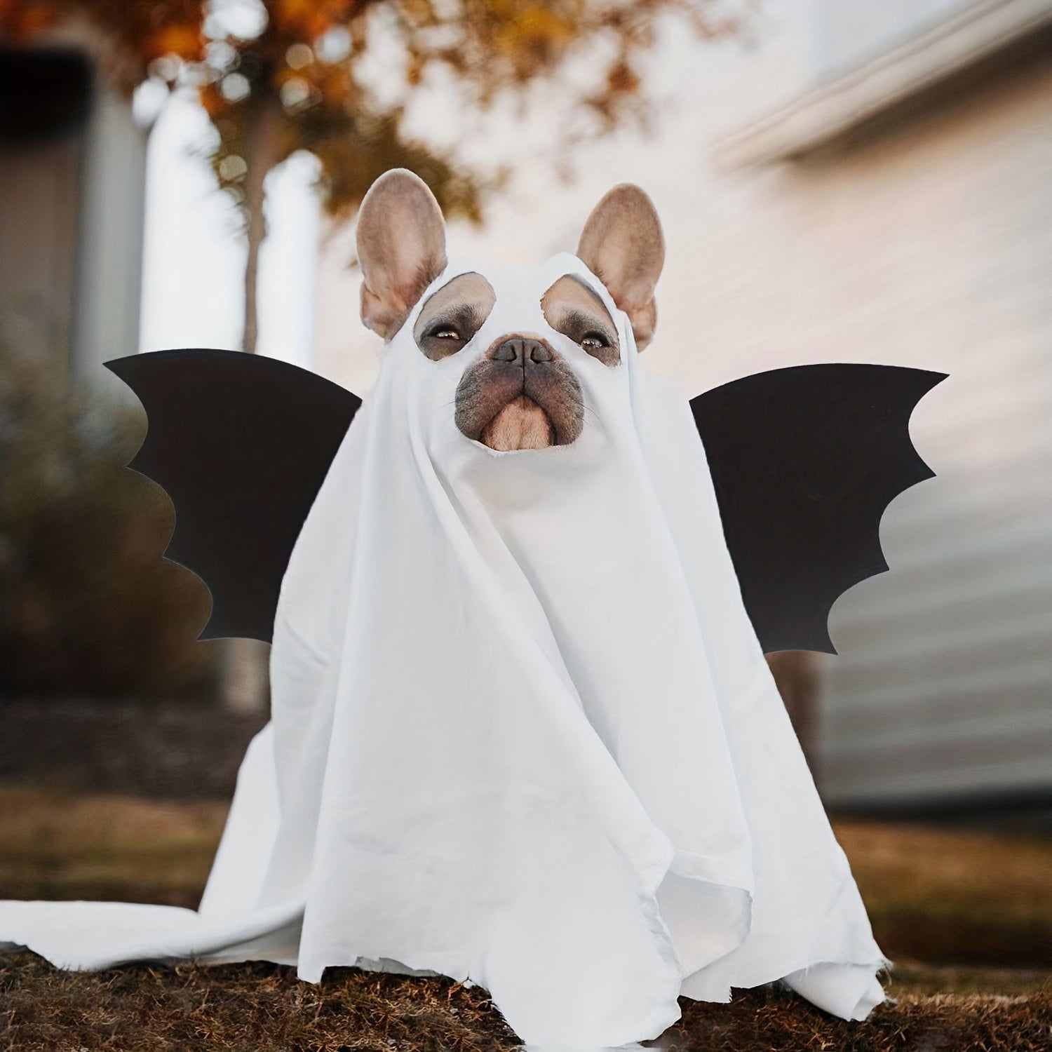 2pcs Kids Halloween Bat Wings Mask Set Cosplay Dress Up