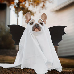 2pcs Kids Halloween Bat Wings Mask Set Cosplay Dress Up