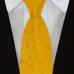 1pc Mens Paisley Ties Solid Tie Handkerchief Floral Men's Necktie Set Wedding