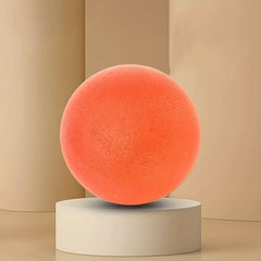 Quiet Indoor Basketball for Playing & Training