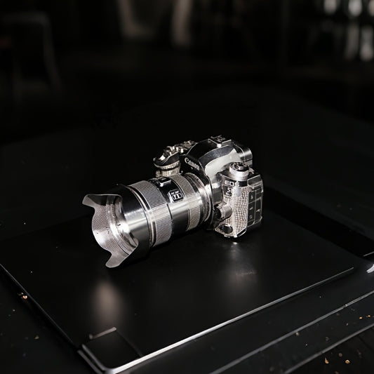 3D Camera Puzzle - Fun Holiday Gift for Men and Women
