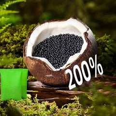 200g Activated Carbon Packs for Automotive Household