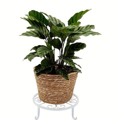 2pcs Metal Plant Supports Heavy Duty Round Iron Pot