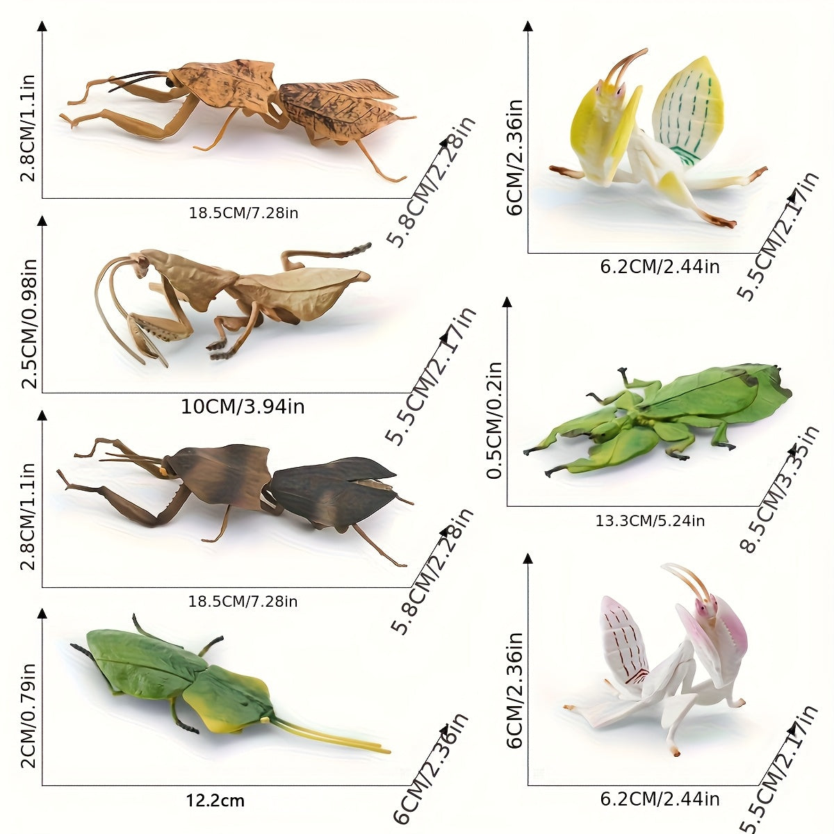 Insect Animal Models Educational Toys