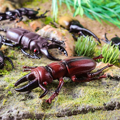 12pcs Insect Animal Model Set Beetle Unicorn Decoration Puzzle Teaching