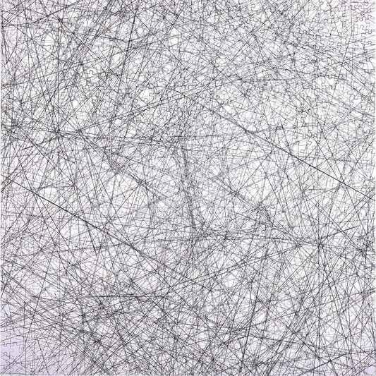 1000pcs Jigsaw Puzzle Line Art Game Educational Brain Teaser
