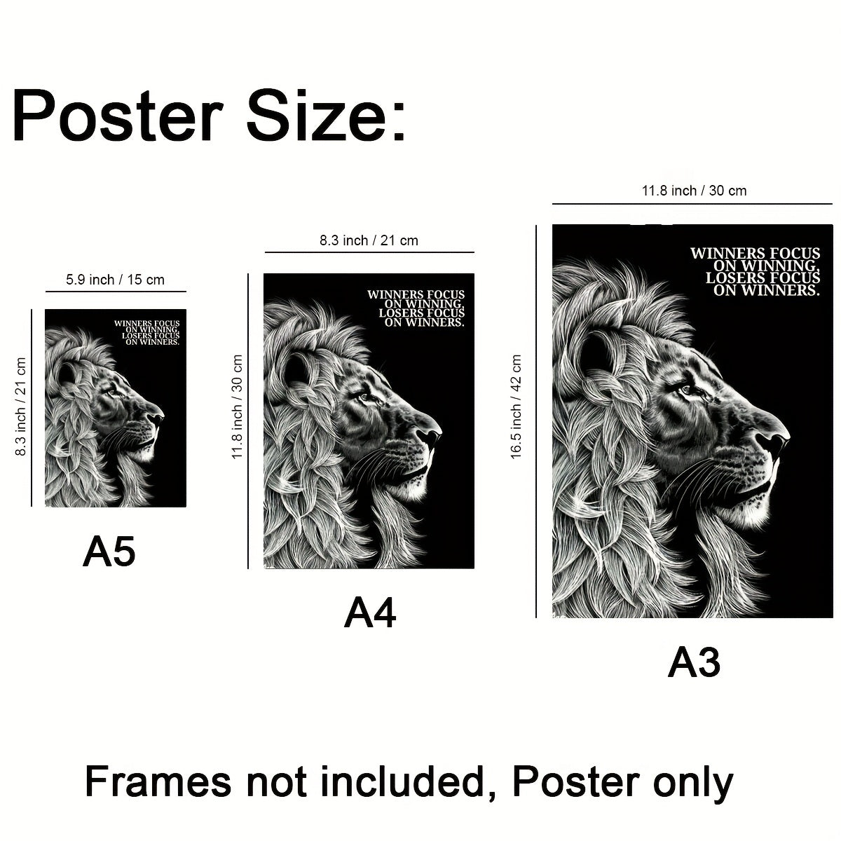 Lion and Quote Wall Stickers for Kids Room Decor