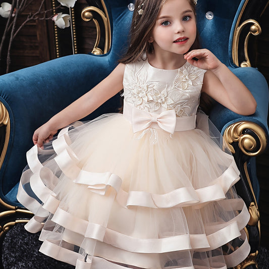 Girls Princess Embroidered Mesh Tutu Dress