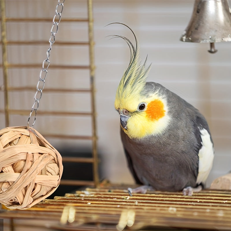 Interactive Pet Hanging Grass Ball for Hamsters