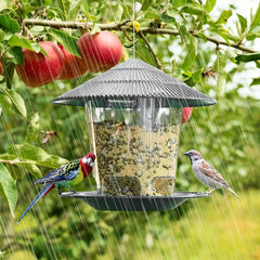 Stylish Plastic Bird Feeder for Wild Birds