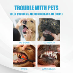 Dog Dental Care Toothpaste for Fresh Breath & Healthy Teeth