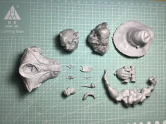 img_2838923