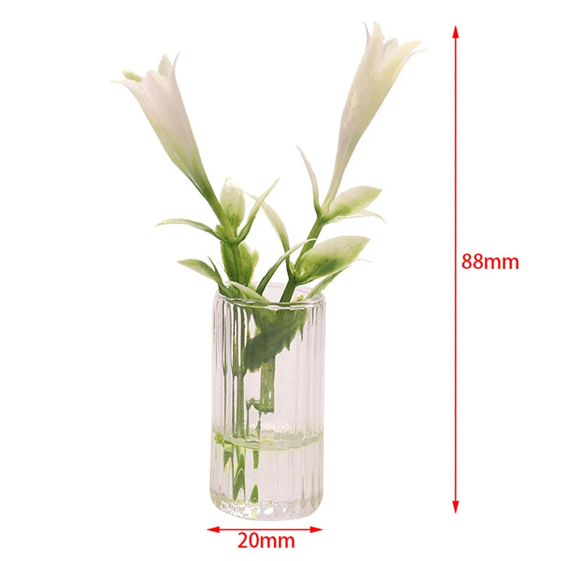 img_2708055