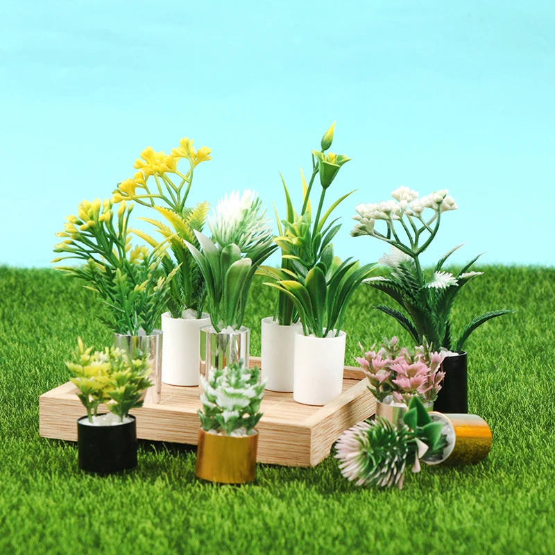 img_2987125
