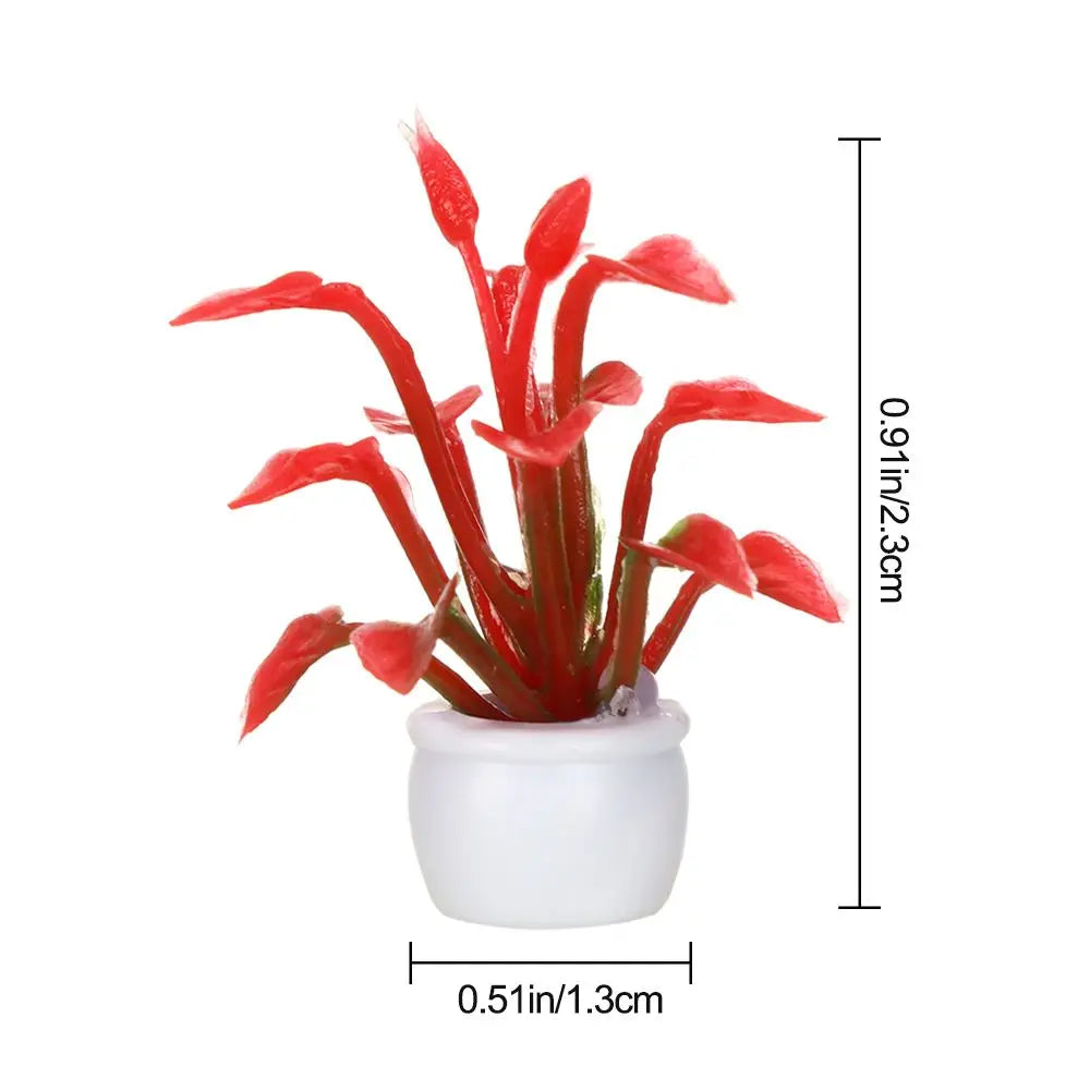 img_3055334