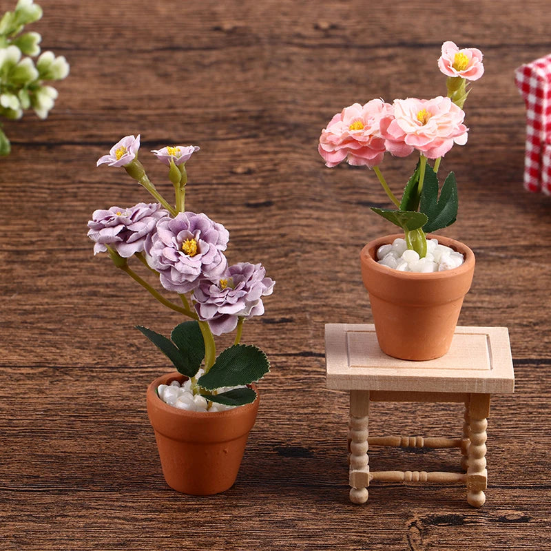 img_2879256