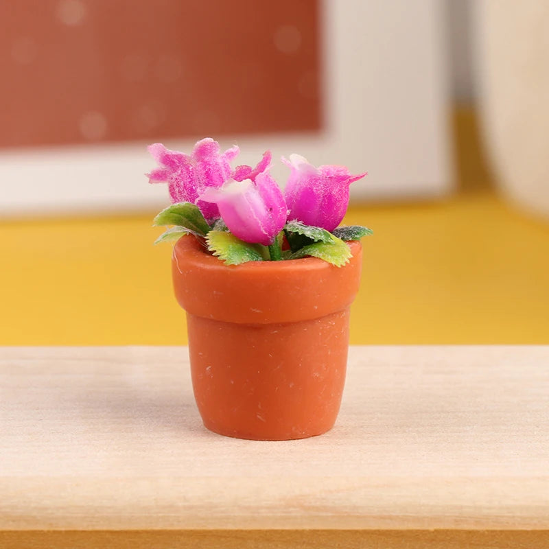img_2974079
