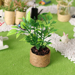 img_2985626