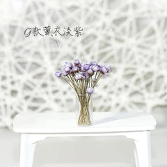 img_2990577