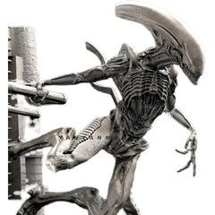 img_2835336