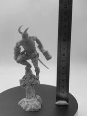 img_2654730