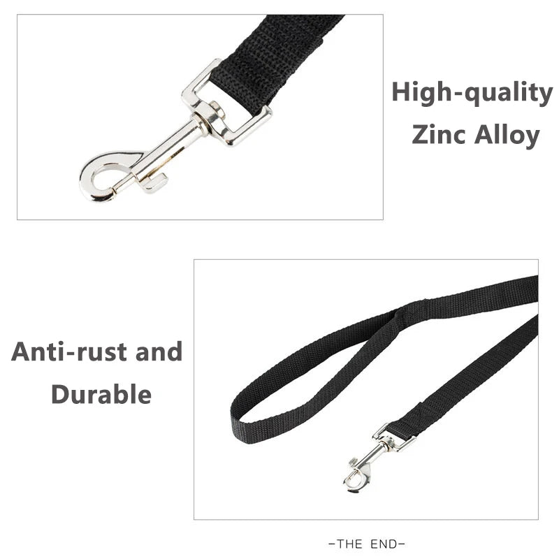 img_5037841
