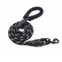 img_5031892