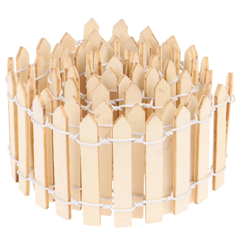 img_2972407